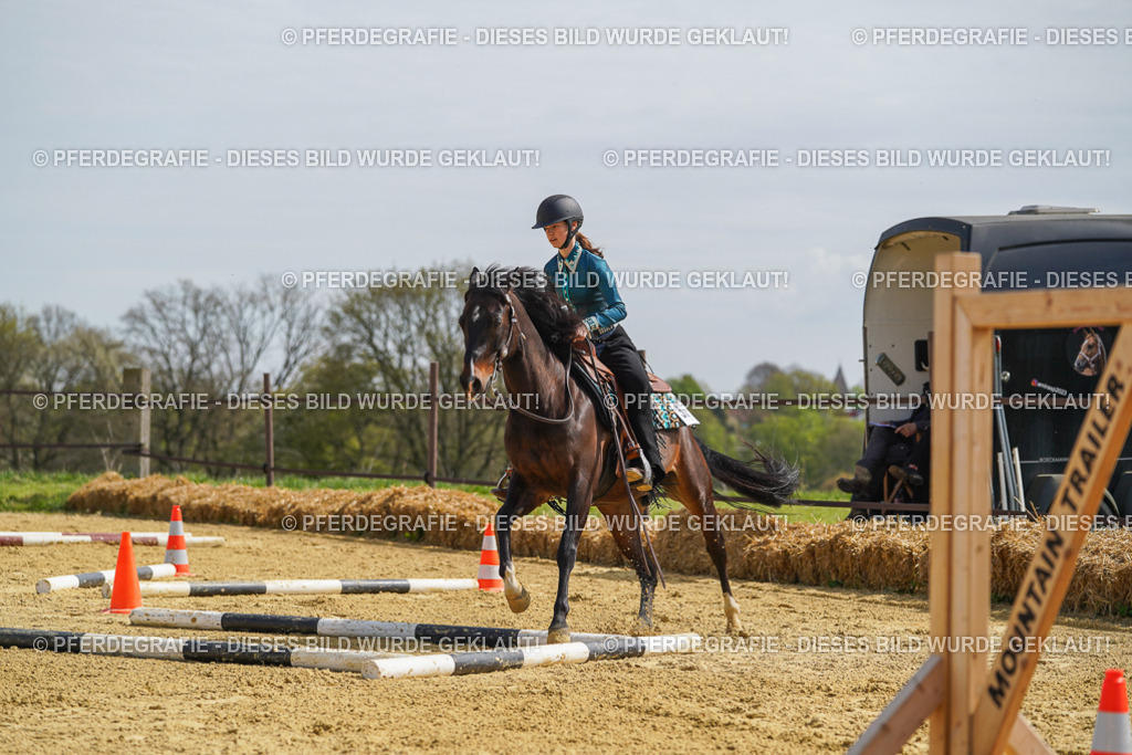 DSC04314 | Pferdegrafie