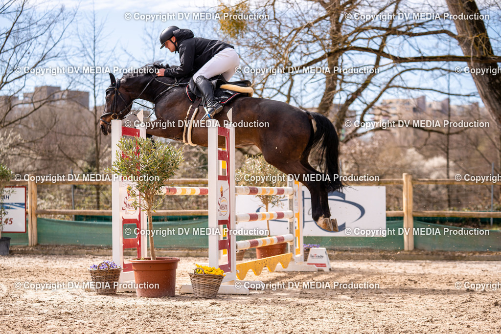 Kranichstein Tag 2-543 | dv-media-shop - Realisiert mit Pictrs.com