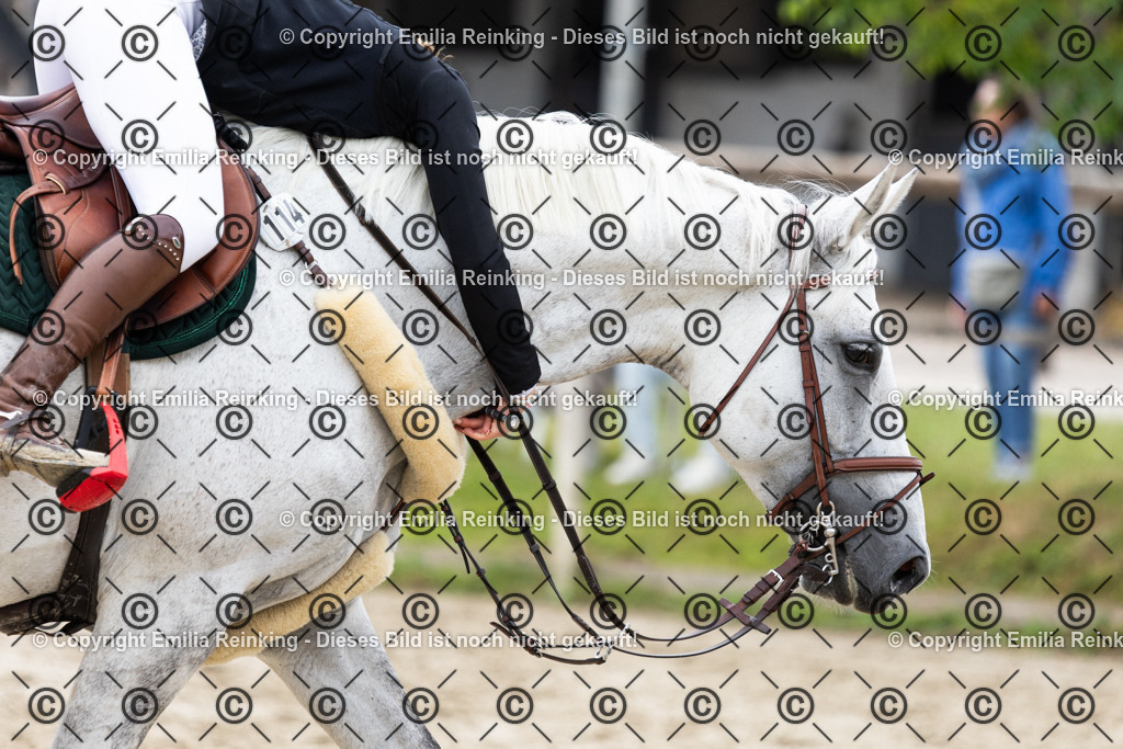 CL5A0007 | Emilia Reinking Fotografie - Realisiert mit Pictrs.com