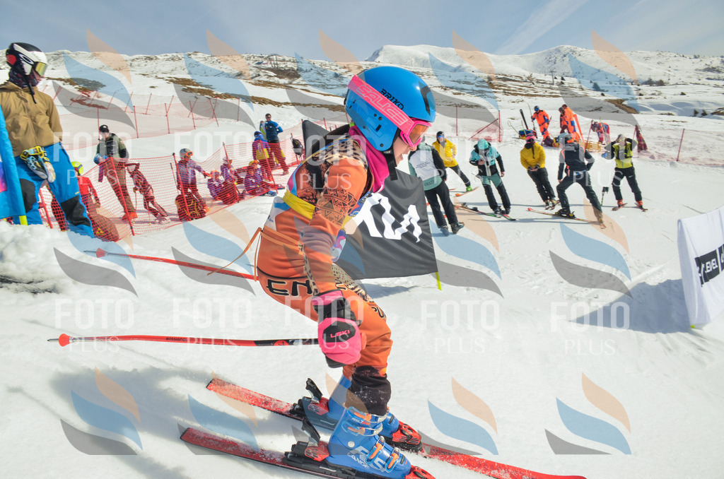 _ELE4376 | holidayphoto