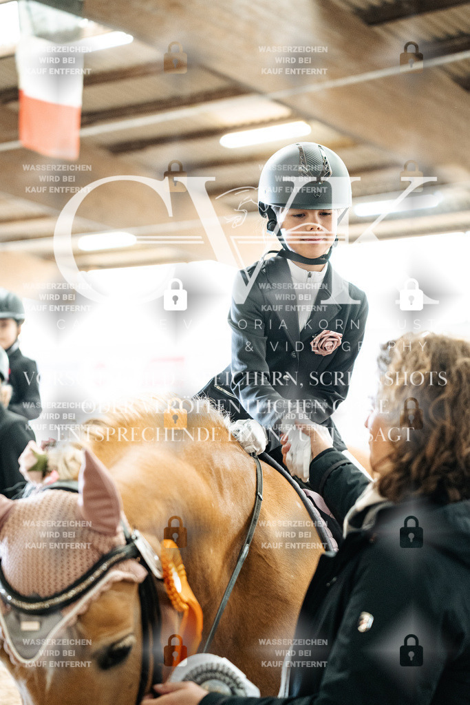 CK702957 | Turnierfotografie Pferdefotografie Trier Rheinland-Pfalz Pferdesport Reitsport Tierfotografie Sportfotografie Pferdevideo Pferdevideografie Equestrianvideography equestrianphotography  - Realisiert mit Pictrs.com