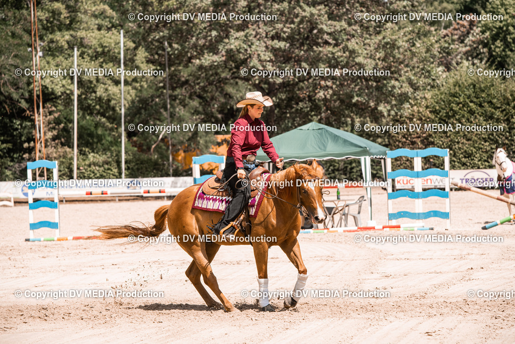 ZS3_0036 | dv-media-shop - Realisiert mit Pictrs.com