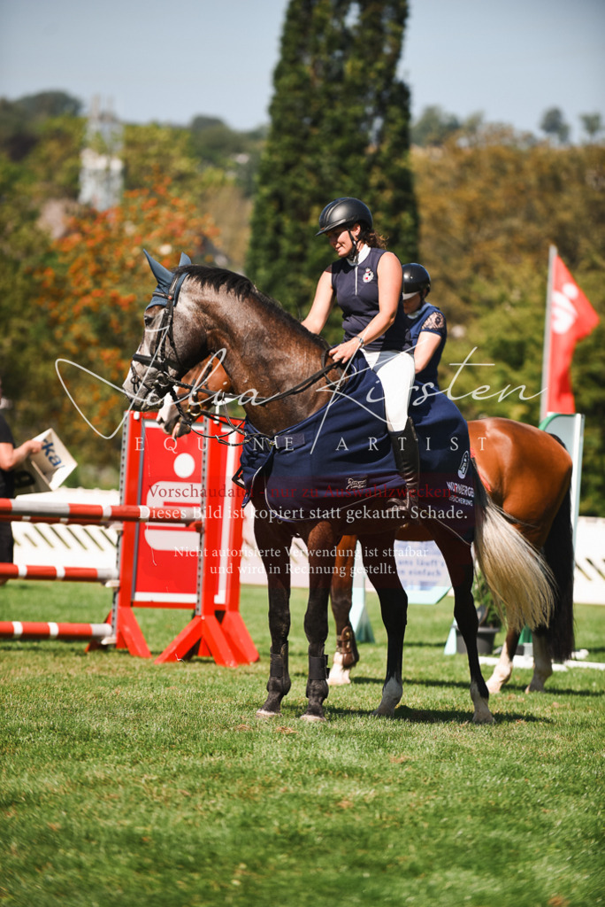 DSC_2923 | Pferde- und Turnierfotografie in Westsachsen. Pferdeportraits, Auftragszeichnungen und intuitive Kunst.