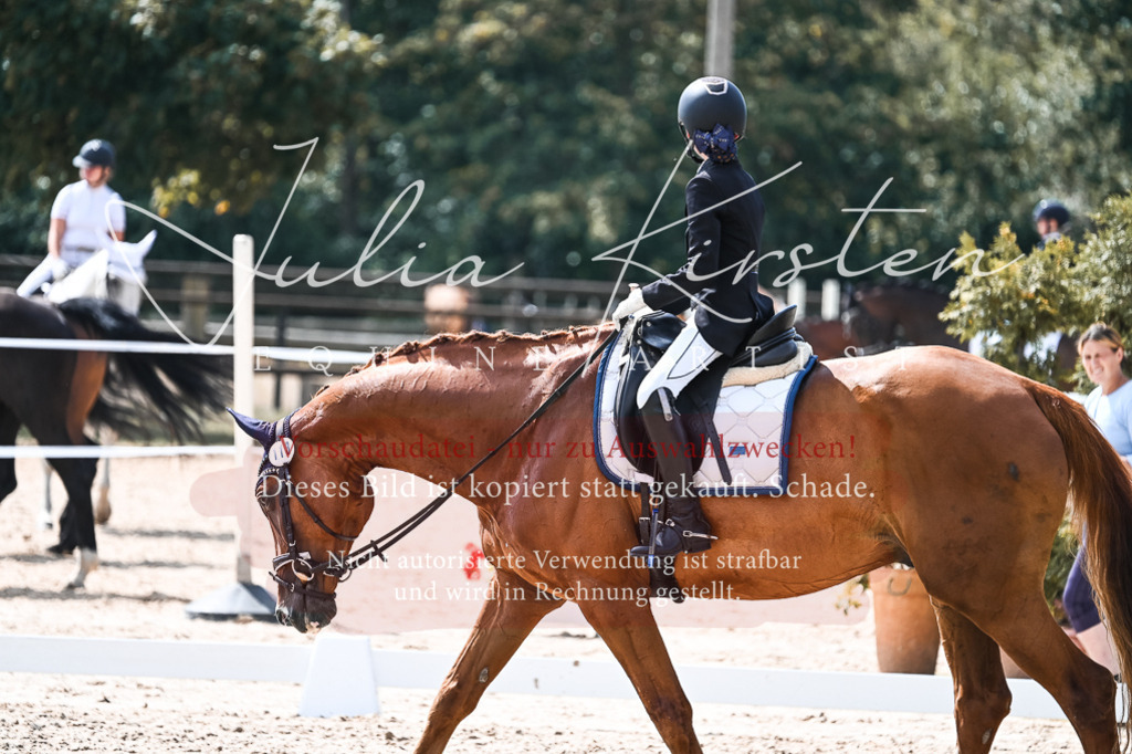 DSC_5121 | Pferde- und Turnierfotografie in Westsachsen. Pferdeportraits, Auftragszeichnungen und intuitive Kunst.