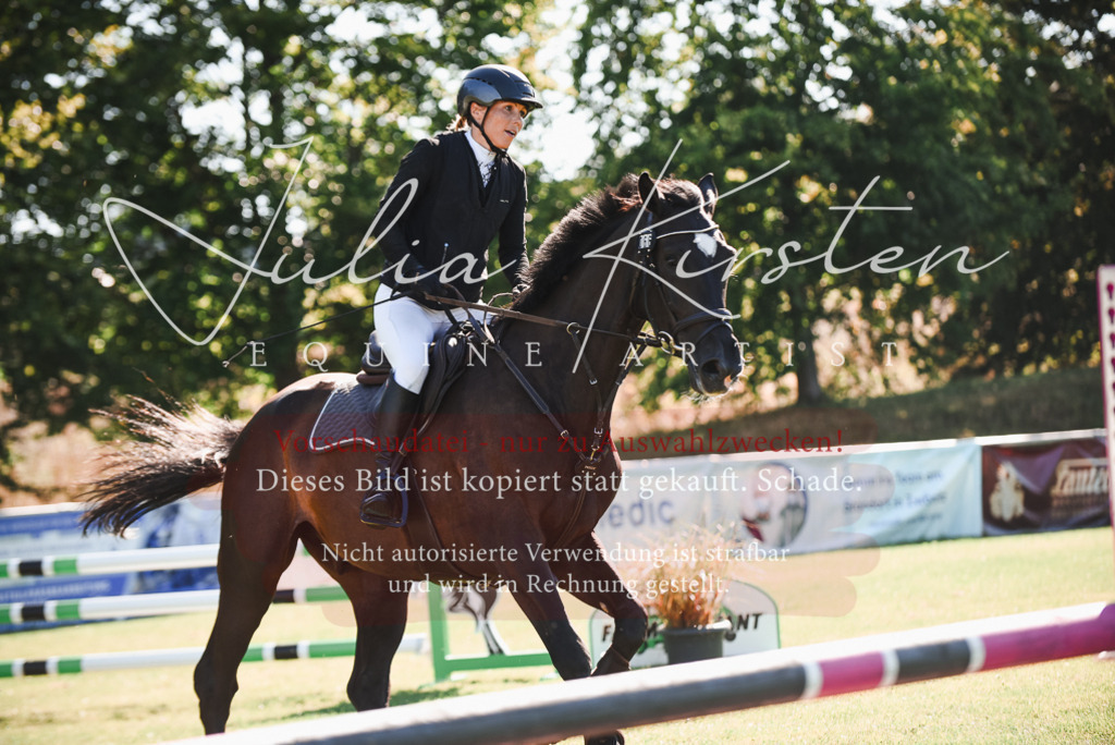 DSC_2356 | Pferde- und Turnierfotografie in Westsachsen. Pferdeportraits, Auftragszeichnungen und intuitive Kunst.