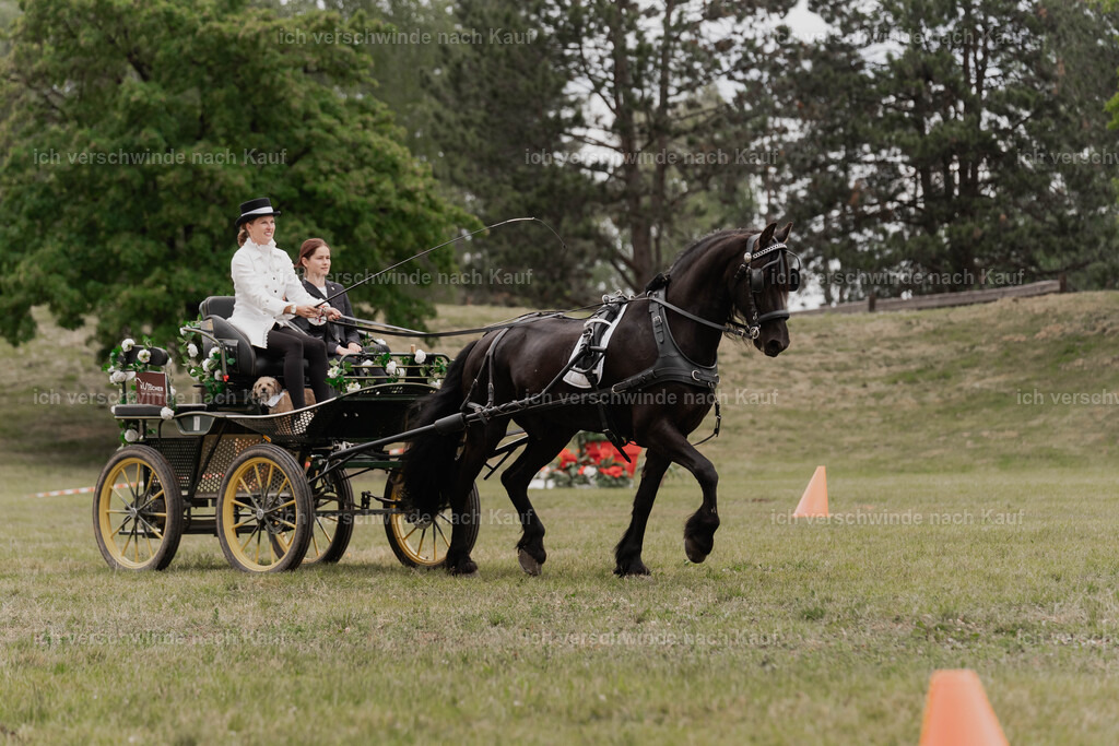 Showprogramm-300 | working equitationturnier fotograf videograf stoibphotography marixx film working equitation deutschland reitsport turnierfotografie eventfotografie equestrian events
