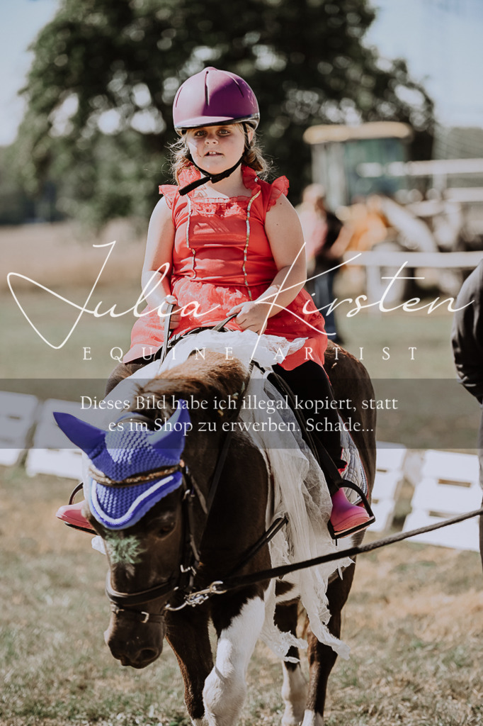 DSC_9114 | Pferde- und Turnierfotografie in Westsachsen. Pferdeportraits, Auftragszeichnungen und intuitive Kunst.