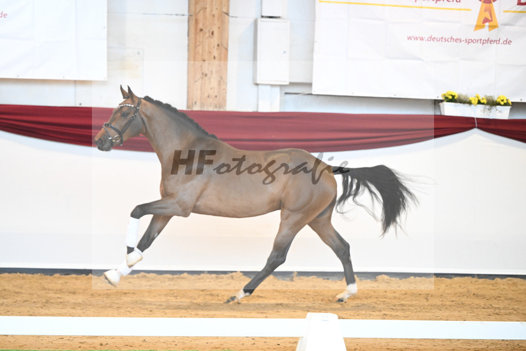 Kat-Nr. 3 v. Baron_Brors_66221590 | hf-fotografie - Realisiert mit Pictrs.com