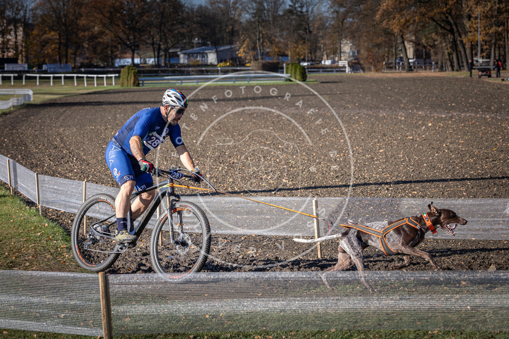 CaniXpix_DV3A5530 | Hundefotografie, Tierfotograf, Pfotenfotografie, Fotoshooting Hund, Hunde Portrait, Hundesport, Hundeportraits, Heideshooting, Hunde, Sportfotograf, Hundefotograf, Turnierhundsport, THS,  - Realisiert mit Pictrs.com