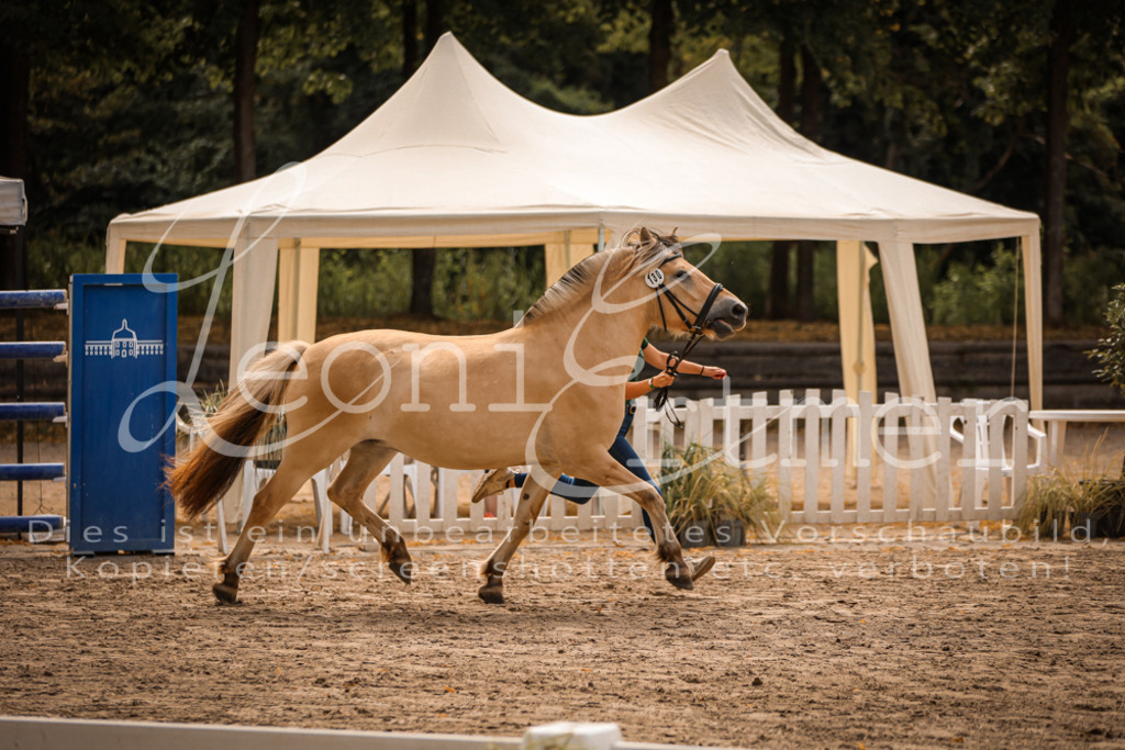 03.So00088 | Leoni Ertmer Photography - Realisiert mit Pictrs.com