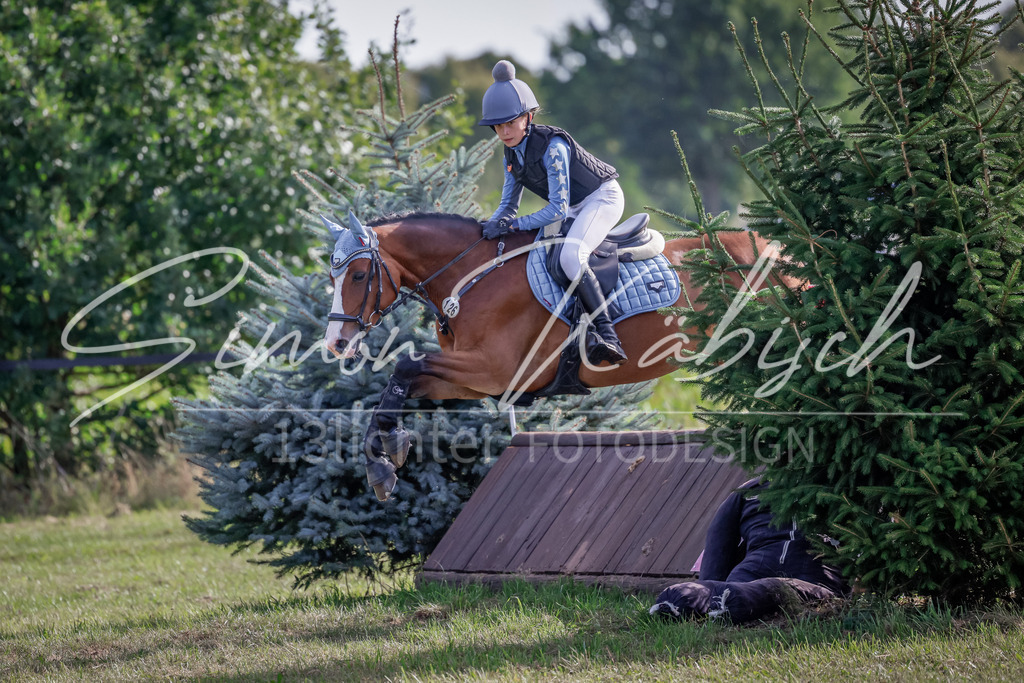 20250907-_3LI9181 | Tierfotografie Pferde, Hunde, Katzen, Haustiere.
Turnierfotografie Reitturniere, Reiten, Springreiten, Dressur in Hanau, dem Main-Kinzig-Kreis und dem Rhein-Main- Gebiet um Frankfurt