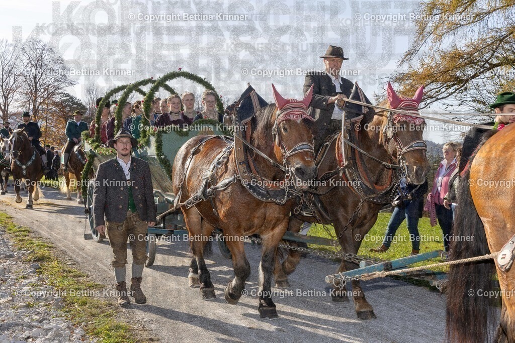 LBT24-1590 | Professionelle Fotografin mit Fachgeschäft in Lenggries & im Landkreis Bad Tölz Wolfratshausen. Hochzeitsreportage, Familienfotos, Newborn-, Babybauch-, Pass- & Businessfotos.Alles Rund ums Foto