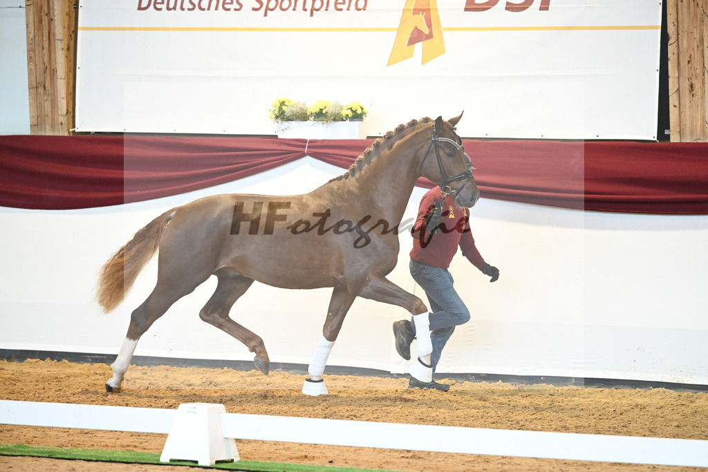 Kat-Nr. 74 v. Le Formidable_Maier_66220315 | hf-fotografie - Realisiert mit Pictrs.com