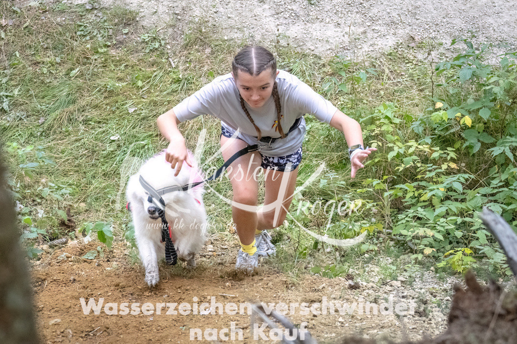 0951_ZZ93517-DeNoiseAI-low-light | kk-dogfotos