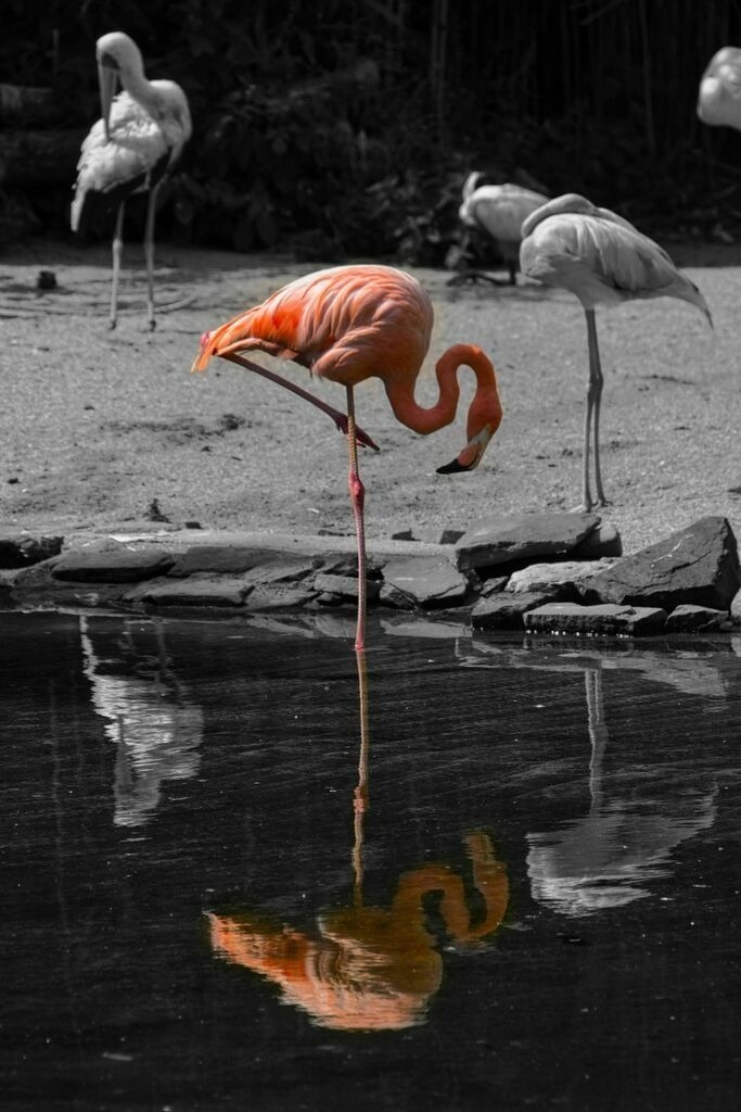 KSR_0486 | Unvergessliche Erinnerungen in Bildern festgehalten! Ob Hochzeit, Shooting oder Landschaft  - Ich bin dein Fotograf in Erfurt und Umgebung! Photo-Rauch | Sandro Rauch - Realisiert mit Pictrs.com