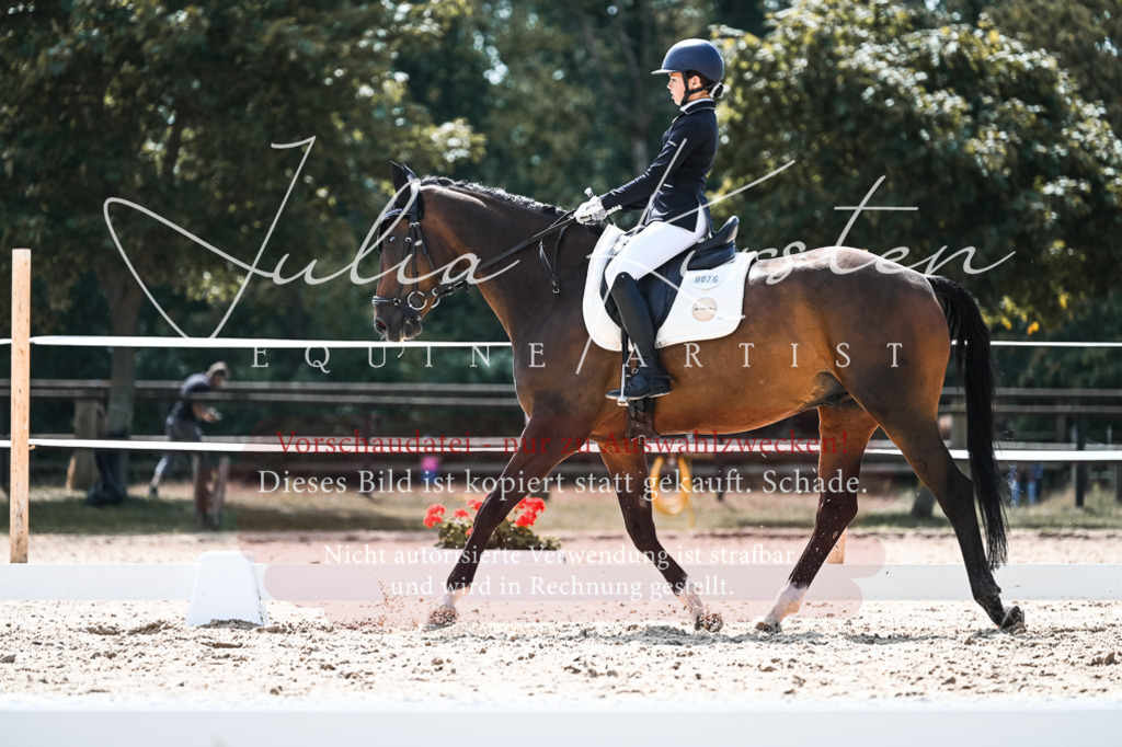 DSC_5755 | Pferde- und Turnierfotografie in Westsachsen. Pferdeportraits, Auftragszeichnungen und intuitive Kunst.