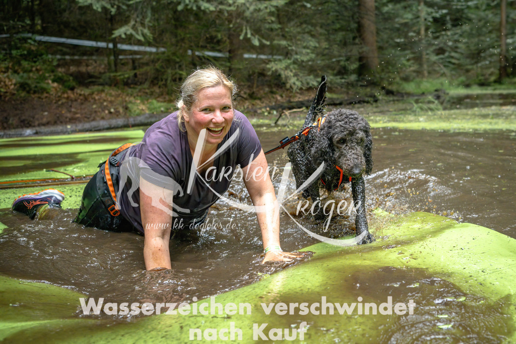 1537_ZZ91443-Bearbeitet | kk-dogfotos