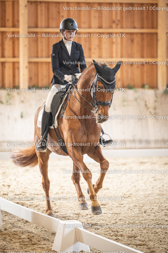 _D5A8945 | Emotionale Pferde- & People-Fotografie rund um Heidelberg, Leimen & Umgebung. Natürliche Fotos von Pferd, Mensch & Familie. Jetzt Termin sichern!