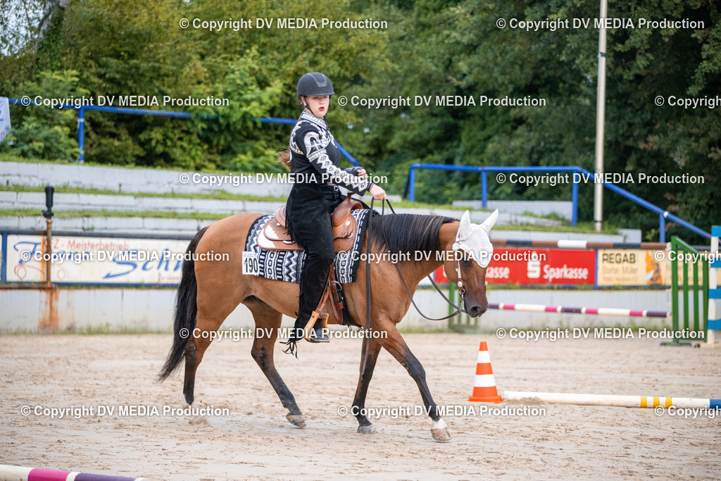 ZS3_4451 | dv-media-shop - Realisiert mit Pictrs.com