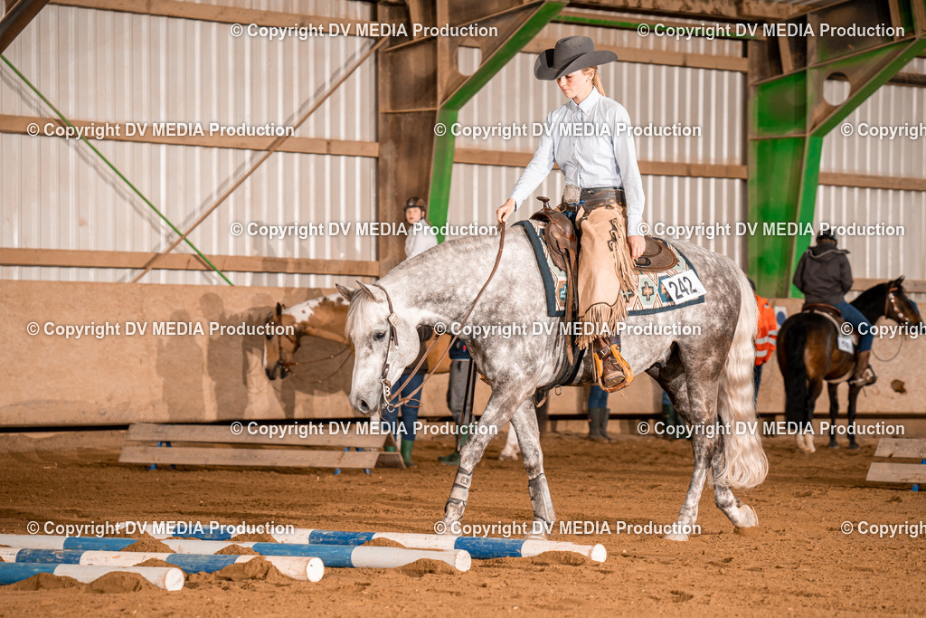 BA400253 | dv-media-shop - Realisiert mit Pictrs.com