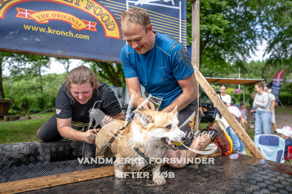 1054_ZZ91932 | kk-dogfotos