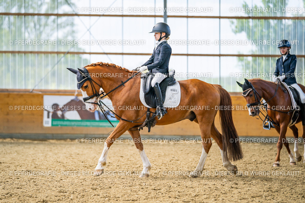 DSC04507 | Pferdegrafie