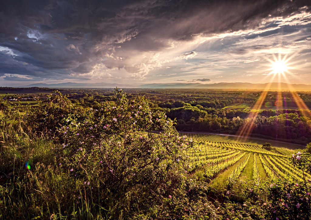 MPI_Sunset_0043 | Sonnenuntergang bei Sasbach am Kaiserstuhl - Realisiert mit Pictrs.com