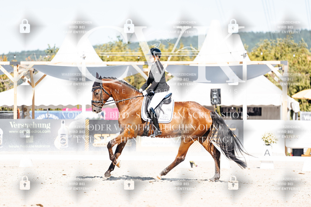 CK908290 | Turnierfotografie Pferdefotografie Trier Rheinland-Pfalz Pferdesport Reitsport Tierfotografie Sportfotografie Pferdevideo Pferdevideografie Equestrianvideography equestrianphotography  - Realisiert mit Pictrs.com
