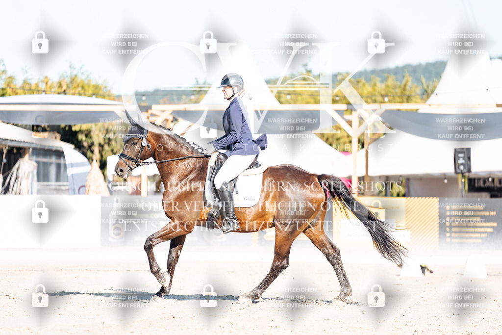 CK907329 | Turnierfotografie Pferdefotografie Trier Rheinland-Pfalz Pferdesport Reitsport Tierfotografie Sportfotografie Pferdevideo Pferdevideografie Equestrianvideography equestrianphotography  - Realisiert mit Pictrs.com