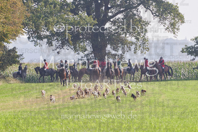 09-23 Jagd Perdöl_MCH0152_Marina Hewig | Fotografie, FotoArt, PferdesportArt, Pferdesportfotografie, Landschaftsfotografie, Reisefotografie, Reise, Pferde - Realisiert mit Pictrs.com