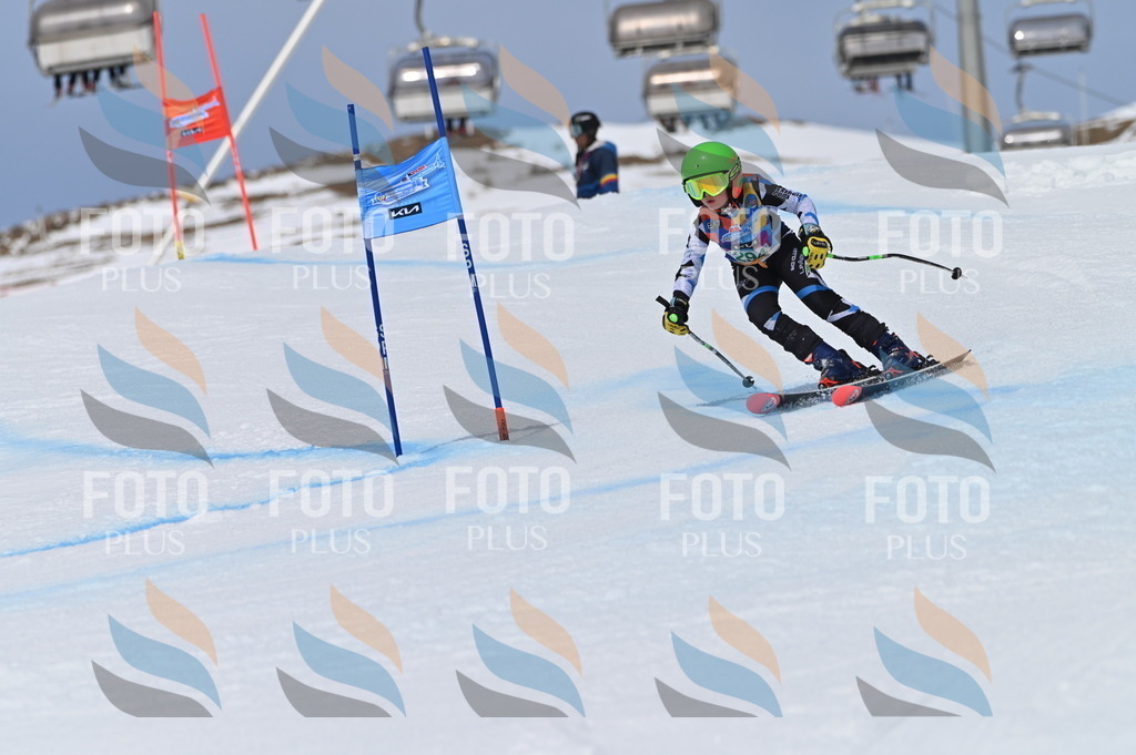 BGV_5879 | holidayphoto