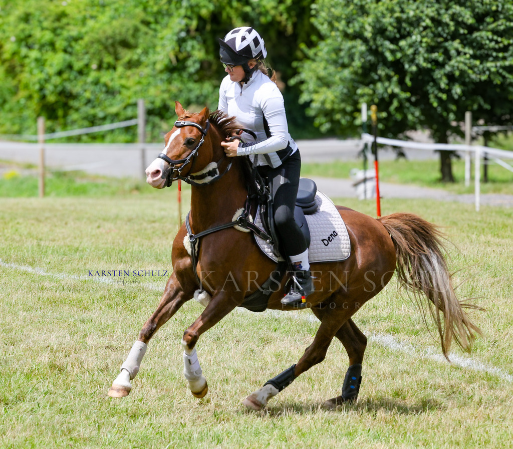 1B3A1142 | Reitsport Reiten
