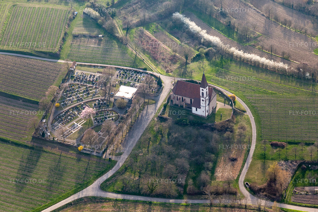 Luftbild: Bergkirche und Bergfriedhof Nimburg bei Teningen im Ortsteil Nimburg in Teningen im Bundesland Baden-Württemberg in Deutschland. Foto: IMG_113113.jpg vom 22.03.2019 durch Werner Riehm/FLY-FOTO.de