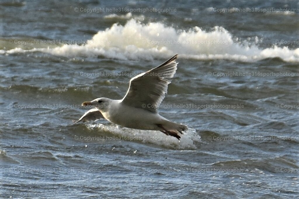 DSC_0150 (2) | Sportfotografie , Motorsport, Motoross, Reitsport, Mointainbike, Enduro,
Landschaft , Outdoor, Eventfotografie, Landschaft, Bilder online bestellen - Realisiert mit Pictrs.com