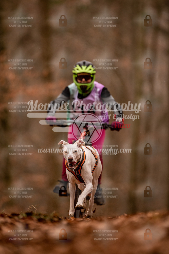 AKM_ST_2023_Son_Bike-136 | PayLife