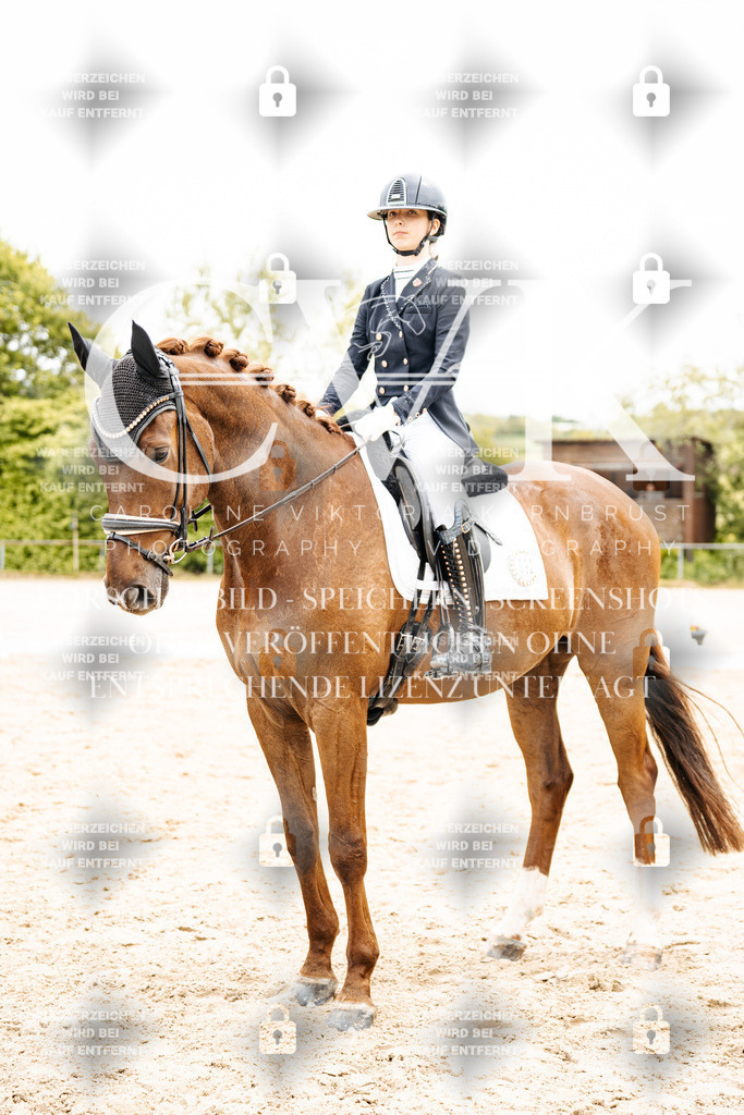 CK703664 | Turnierfotografie Pferdefotografie Trier Rheinland-Pfalz Pferdesport Reitsport Tierfotografie Sportfotografie Pferdevideo Pferdevideografie Equestrianvideography equestrianphotography  - Realisiert mit Pictrs.com