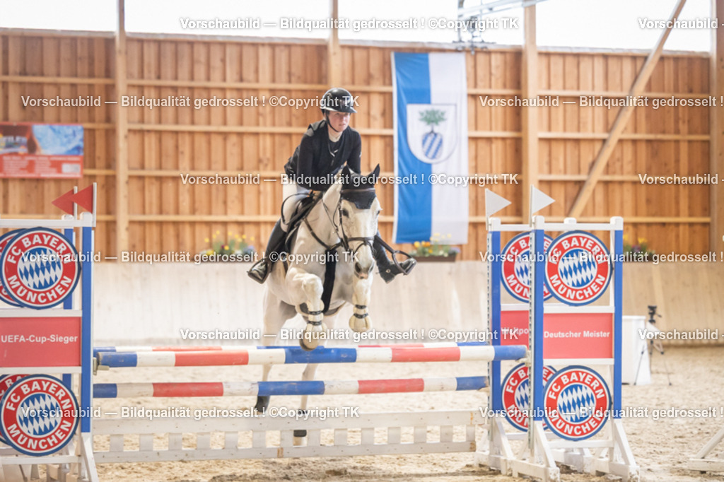 _D5A8265 | Emotionale Pferde- & People-Fotografie rund um Heidelberg, Leimen & Umgebung. Natürliche Fotos von Pferd, Mensch & Familie. Jetzt Termin sichern!