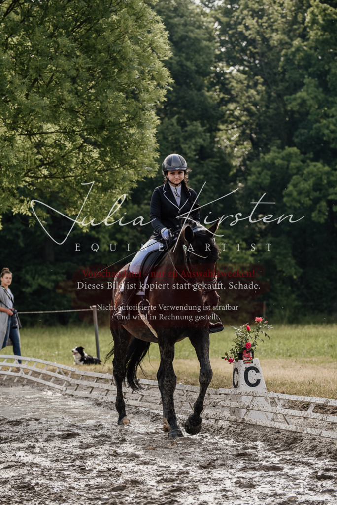 DSC_8561 | Pferde- und Turnierfotografie in Westsachsen. Pferdeportraits, Auftragszeichnungen und intuitive Kunst.