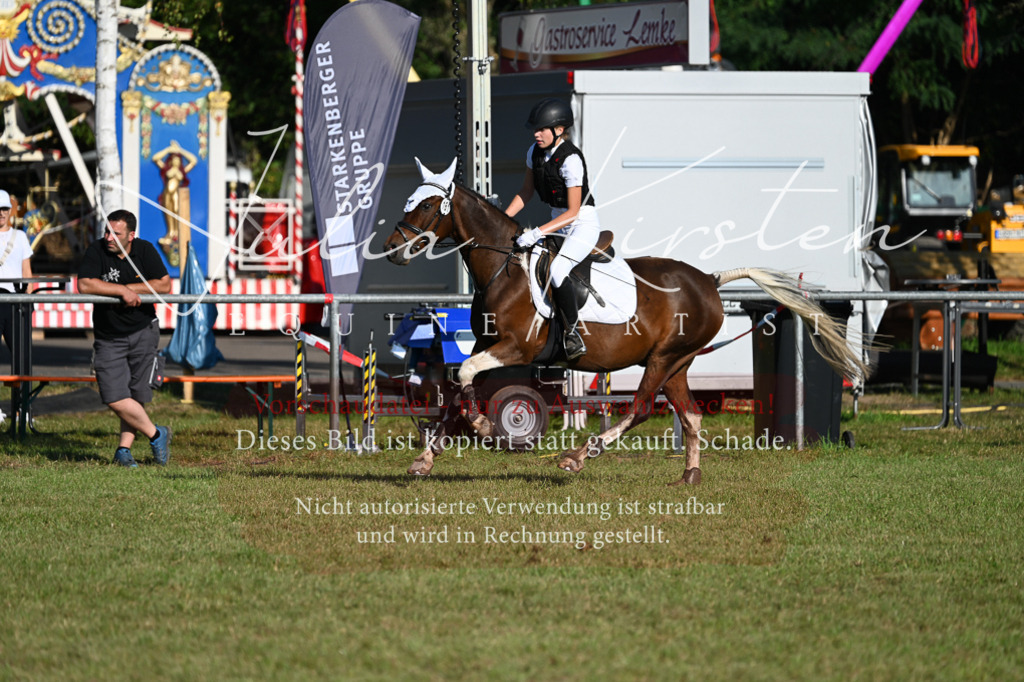 DSC_4784 | Pferde- und Turnierfotografie in Westsachsen. Pferdeportraits, Auftragszeichnungen und intuitive Kunst.