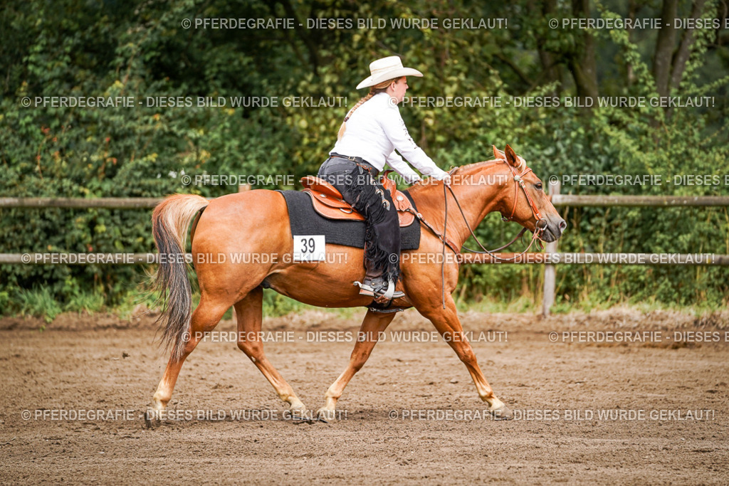 DSC06761 | Pferdegrafie