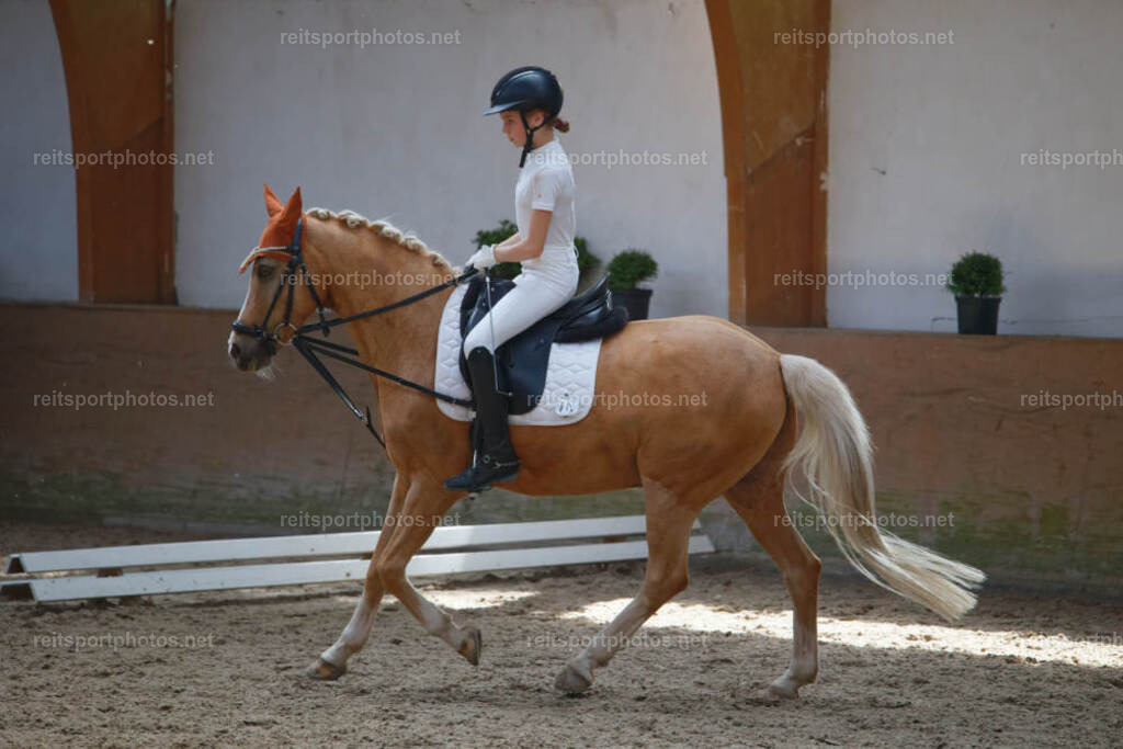 JHE_5479 | JoYa Fotografie - Realisiert mit Pictrs.com