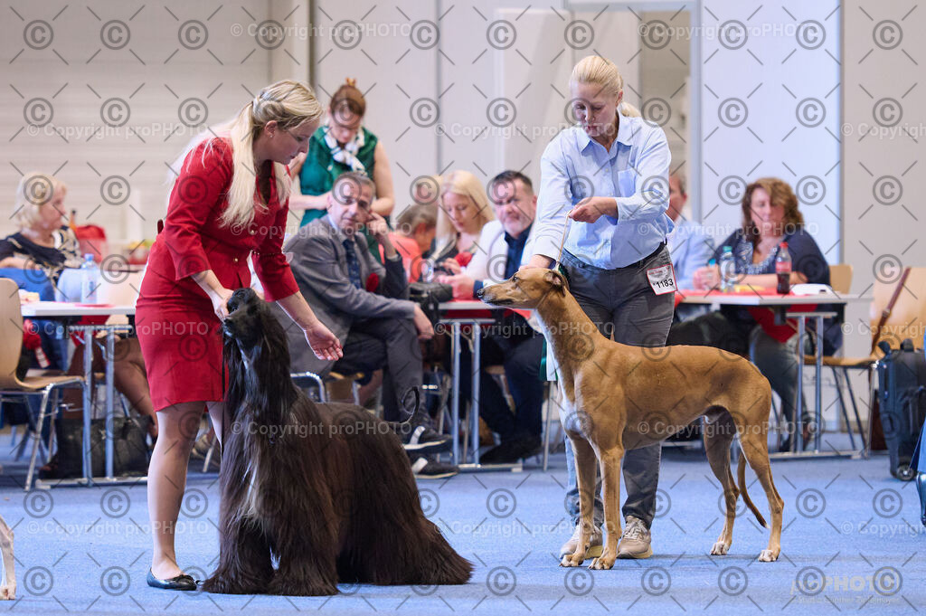 202406_ÖKV-IHA-Tulln24_DSC_4238 | proPHOTO - Realisiert mit Pictrs.com