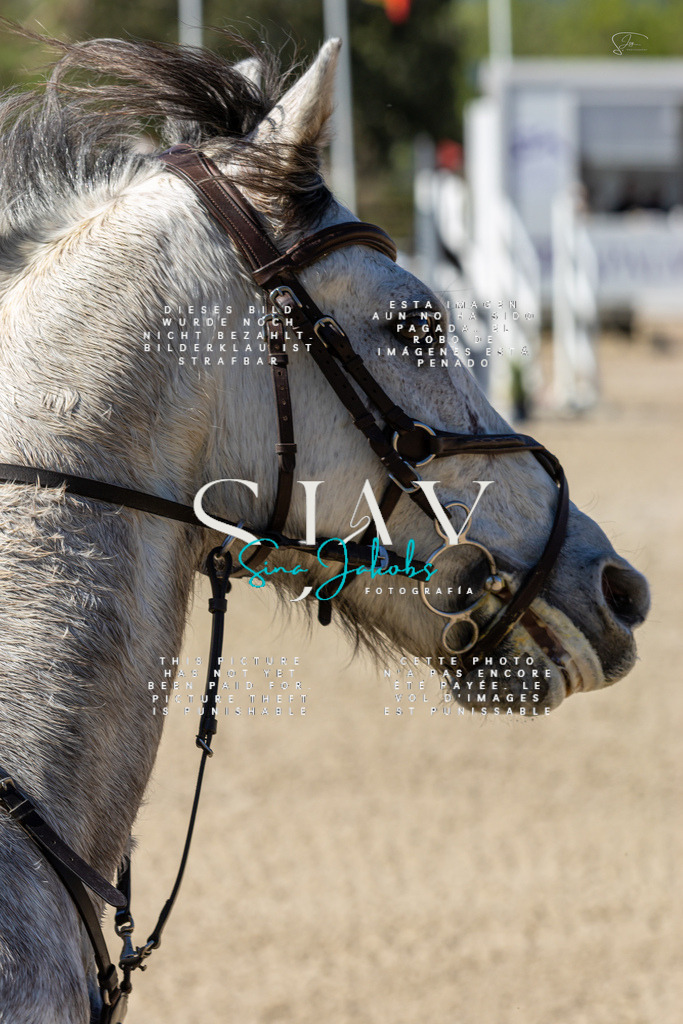 IMG_9788 | s-jay-photography - Realisiert mit Pictrs.com