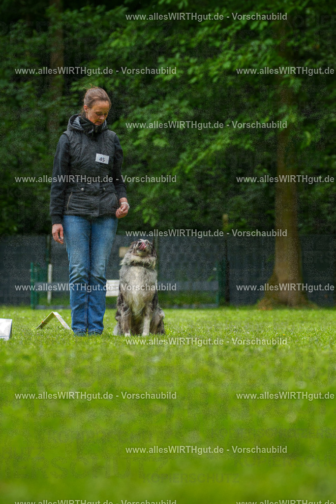 @allesWIRTHgut_Tierfotografie - www.allesWIRTHgut.de - 7R500282 | Professionelle Tierfotografie in Mönchengladbach von Daniel Wirth (allesWIRTHgut). Liebevolle & natürliche Bilder von Hunden & Katzen für unvergessliche Erinnerungen.