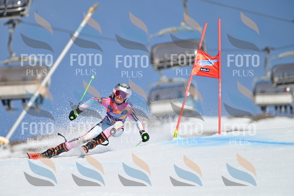 BGV_9285 | holidayphoto