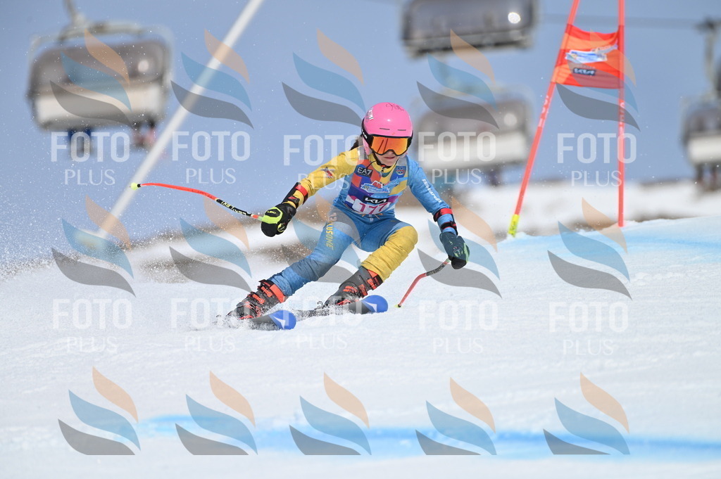 BGV_0553 | holidayphoto