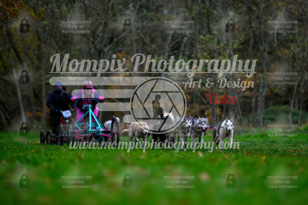 MompixPhotography_Bischwiller24_SA_Kart-17 | PayLife