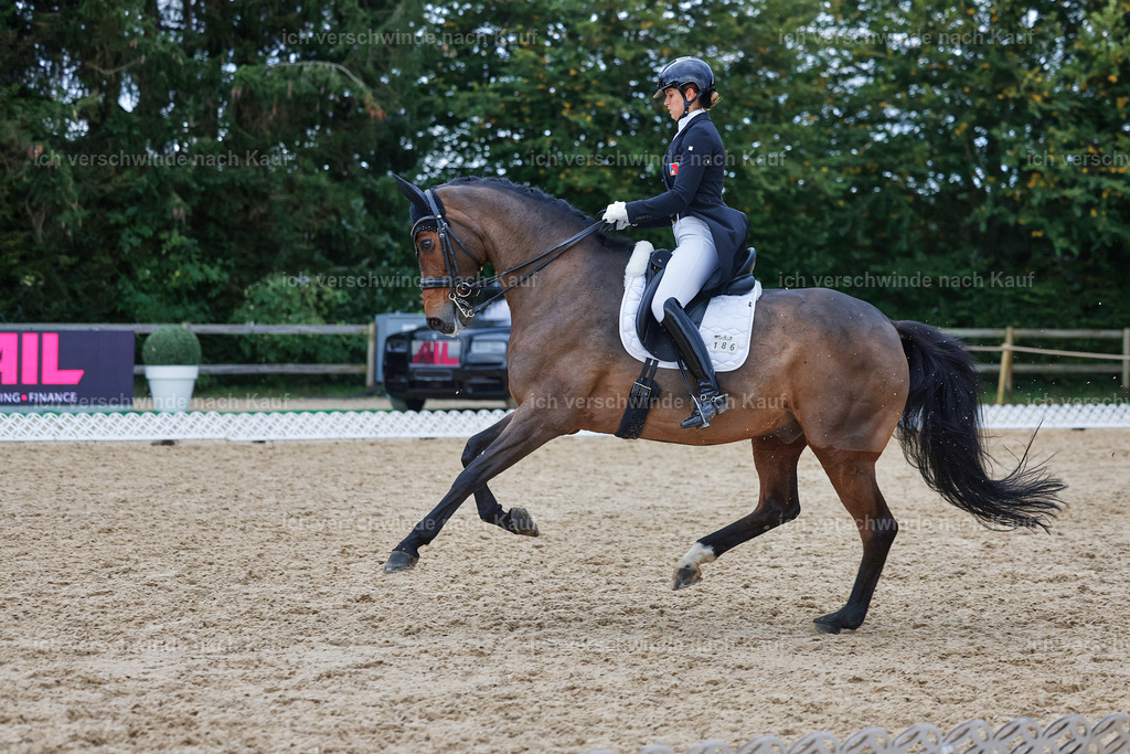 12-186-DRESSUR  S___  -StoibPH-5380 | working equitationturnier fotograf videograf stoibphotography marixx film working equitation deutschland reitsport turnierfotografie eventfotografie equestrian events