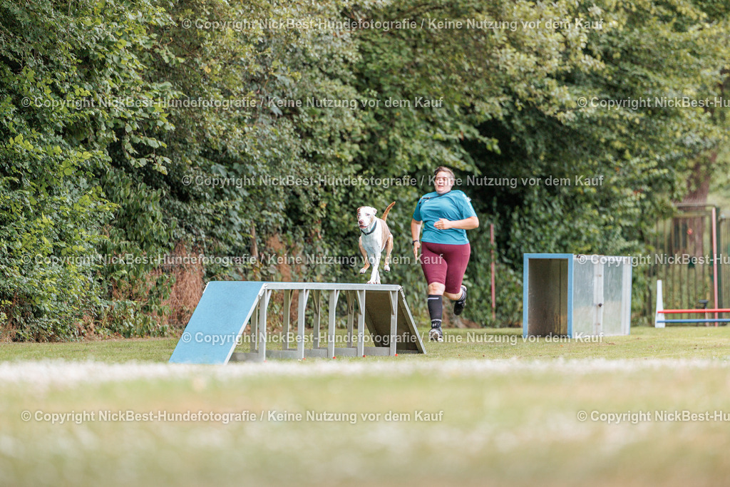 THS-Quakenbrück-2026-Nickbest-Hundefotografie-3955 | Dein Hund! Dein Moment! Deine Erinnerungen! Hundefotografie in Bremen Blumenthal. Ich fange die besonderen Momente deines Vierbeiners ein – ob Indoor mit Blitzanlage oder in der freien Natur. Sicher dir dein Moment und dein Termin für eure Erinnerungen.