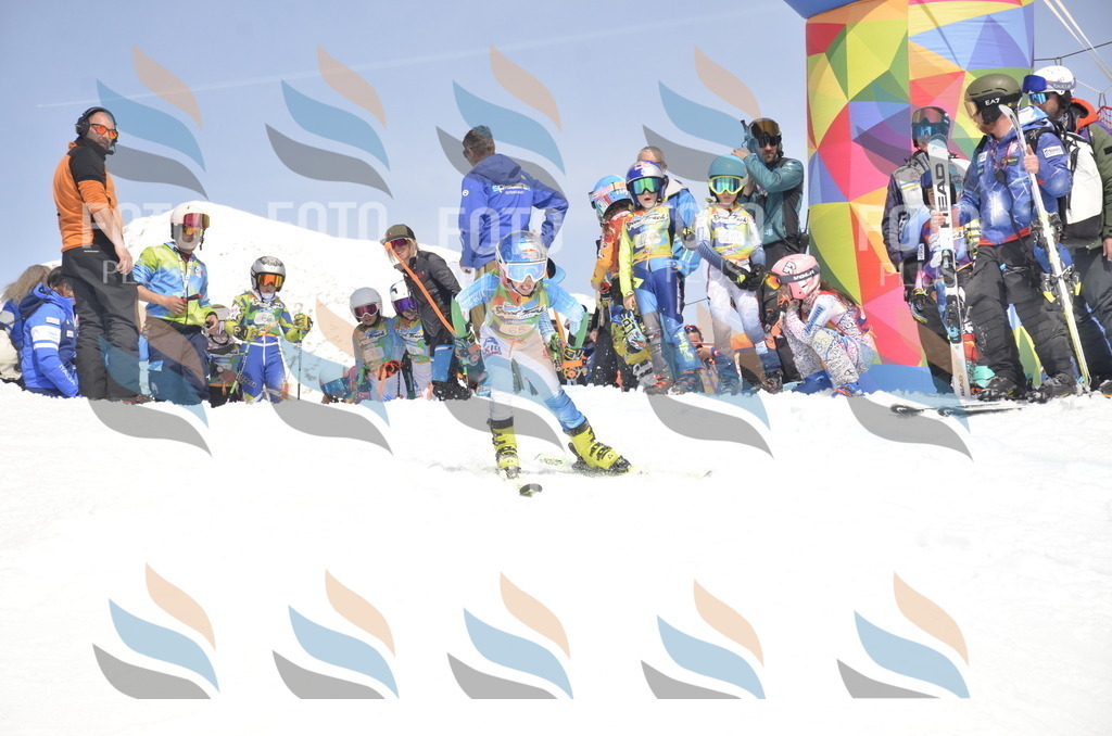 _ELE9069 | holidayphoto